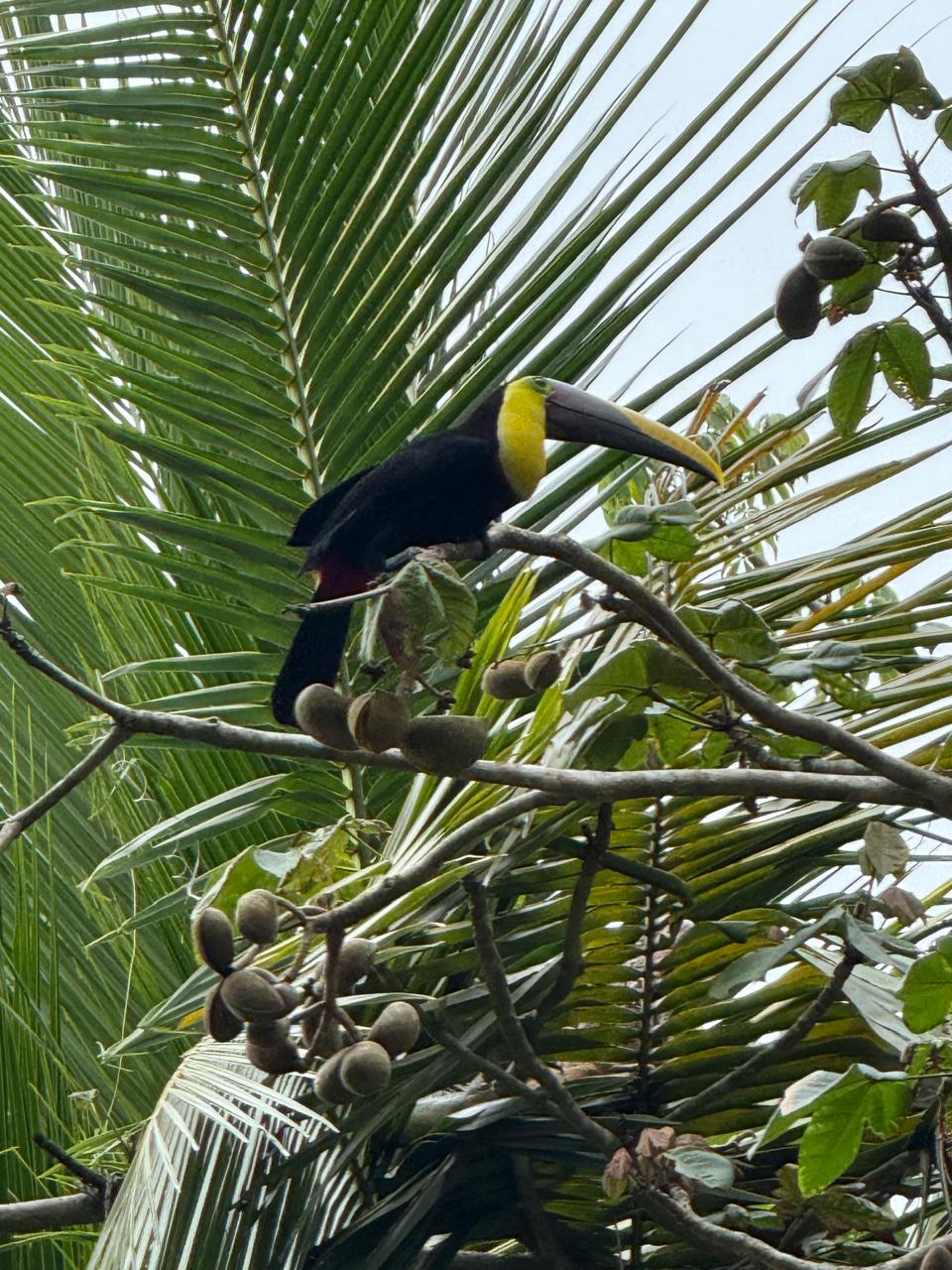 nature-rancho-burica-1