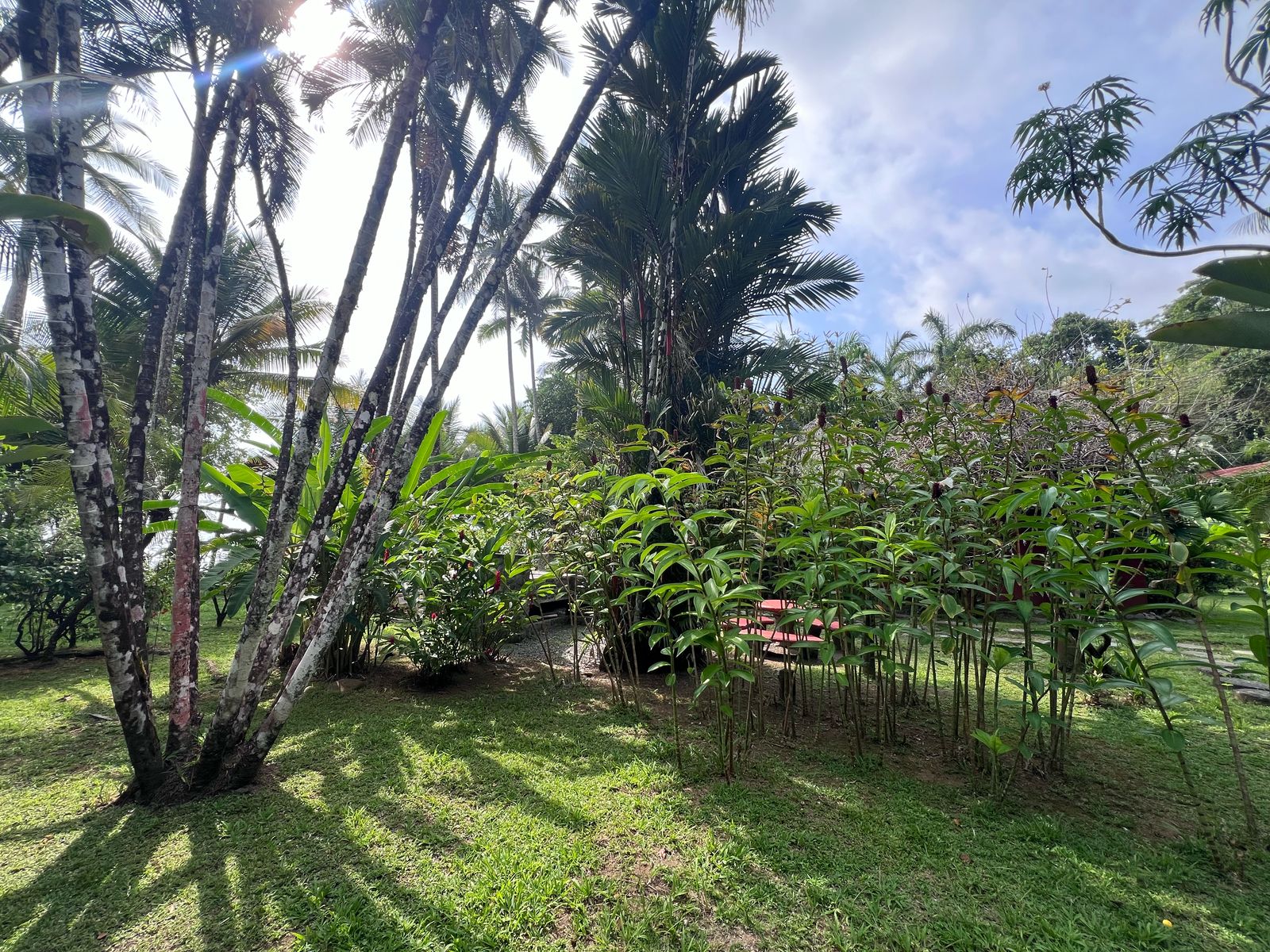 nature-rancho-burica-8