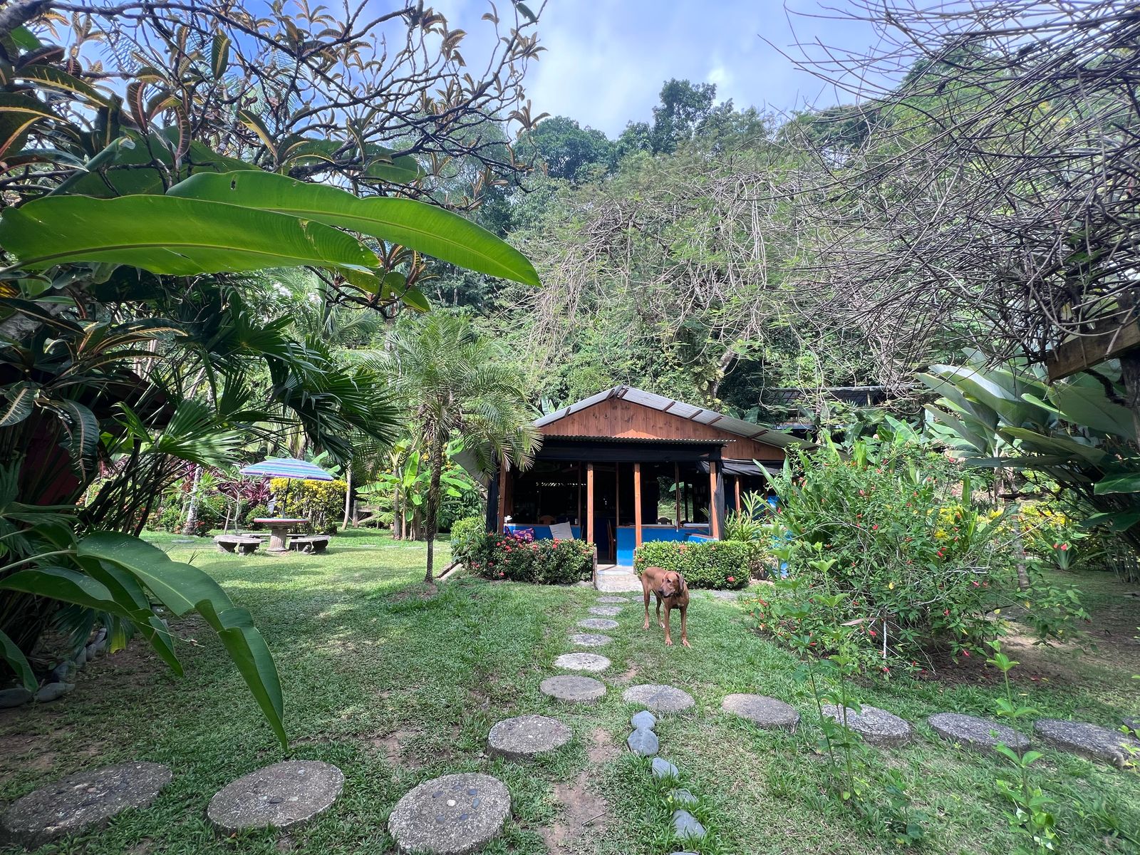 nature-rancho-burica-9