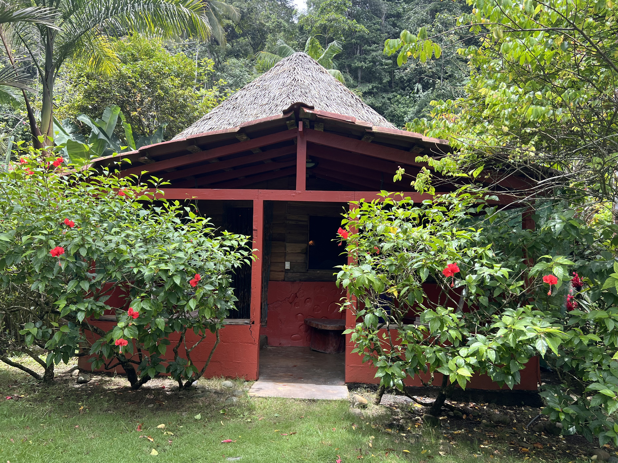 rancho-jungle-tico